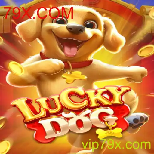 Descubra o mundo emocionante de LuckyDog com 79X.COM